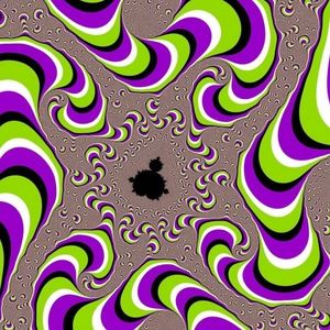 Meet your Posher, Jesse